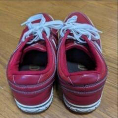 EDWIN　メンズスニーカーの画像