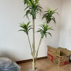 フェイク植物