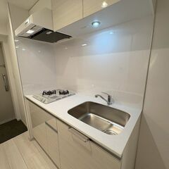 ❤️‍🩹敷金なし、礼金なし、敷金なし、仲介手数料なし❤️‍🩹～新築賃貸マンション～ペット飼育可（大型犬・猫・多頭飼い可）～オートロック完備で防犯も安心🎶 − 埼玉県