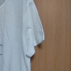 【新品】レディースT   Mの画像