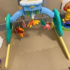 プーメリーの画像