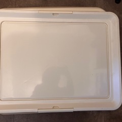 ペット 犬 トイレトレー ワイド 2個セットの画像