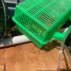 虫取りかごの画像