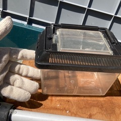 むしとりかごの画像