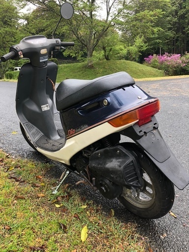 AF18 ディオ スペシャルエディション ヤングに人気のメットイン