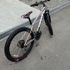 GIANT タロン3 2019年 マウンテンバイクの画像