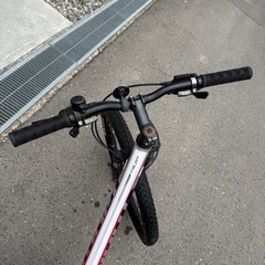 GIANT タロン3 2019年 マウンテンバイクの画像