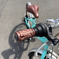 LOUIS GARNEAU / ルイガノ / J20 plus / ジュニアスポーツバイク