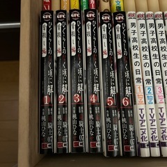 ひぐらしのなく頃に解 皆殺し編