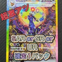 SR or SAR or UR 確定1パック　テラスタル