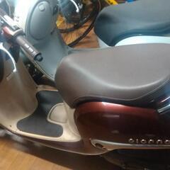 ホンダAF77系　ジョルノ　の画像