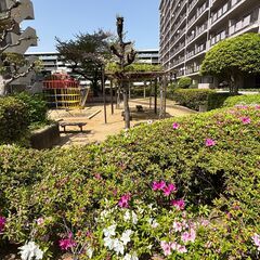 日商岩井菫橋ハイツ - 不動産売買（マンション/一戸建て）