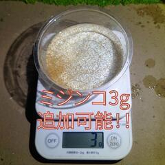ミジンコ　3g     追加可能