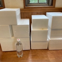 発泡スチロール使用済箱11個📦メダカの発送🐟