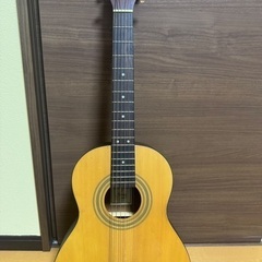 蛇皮三線＆ギター3点の画像