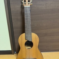 蛇皮三線＆ギター3点の画像