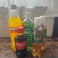 炭酸飲料　缶、ペットボトル色々　14本の画像