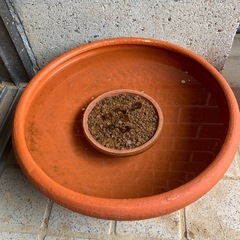①メダカ飼育セット