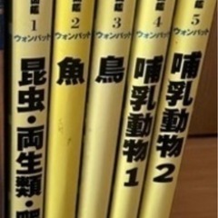 図鑑 5冊セット