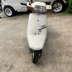 タクトアイビー
