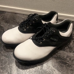 フットジョイ　グリーンジョイ27センチ