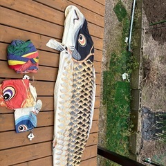 決まりました！鯉のぼり