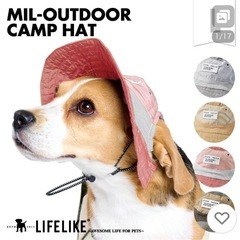 Mサイズ　犬用帽子　ペット用品