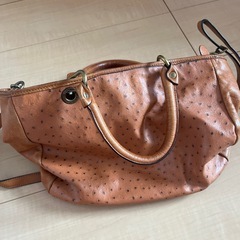 PLINIOVISONAショルダーバックの画像