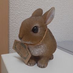 7月18日(金)会話のキャッチボールをしながら緩く雑談会　リラクなど