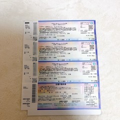 超ポイントアップ祭 4月23日 カープ チケット 内野指定席A 3枚 (いちご) 県庁前の その他