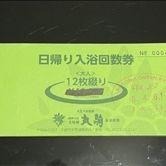 丸駒温泉　ペア 日帰り入浴券