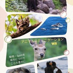 アニマルコミュニケーションワークショップ

〜動物・Spi…