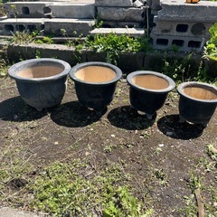 蘭鉢　10個で300円　何個からでもお売りします　鉢　花　ガーデニングの画像