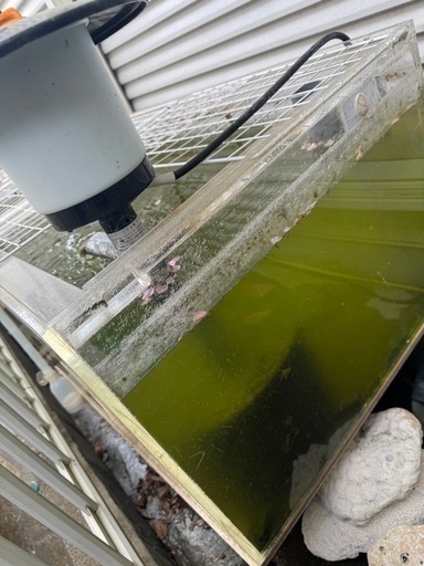 アクリル水槽2400×550×h400 オーバーフロー水槽大型水槽金魚熱帯魚