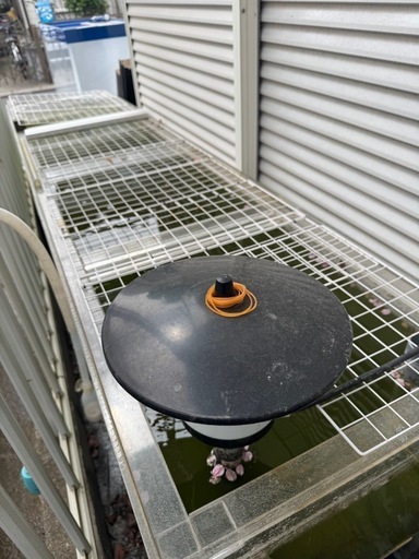 アクリル水槽2400×550×h400 オーバーフロー水槽大型水槽金魚熱帯魚