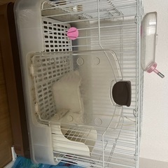 ケージ