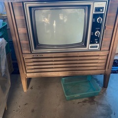 テレビ
