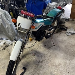 tlm200rの画像