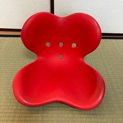姿勢サポートイス
