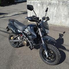 kawasaki  KSR110 