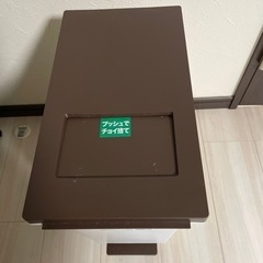 ナフコ　ペダル＆プッシュの2Ｗａｙタイプのゴミ箱　20㍑の画像