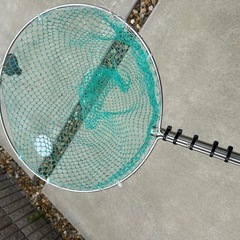 魚取り　昆虫捕獲　
網　 ステンレス製　　の画像