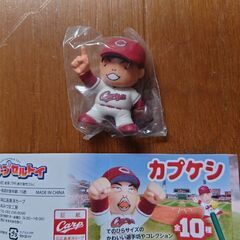 カープ　カプケシ