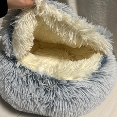 猫用 クッションの画像
