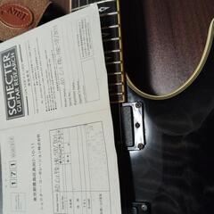 Schecter:AD C-1 FR-HR-SPの画像