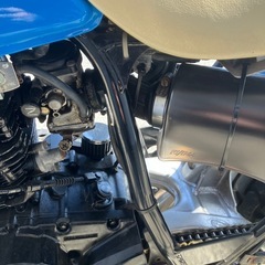 tw200 dg07 ディスクブレーキ キムタク仕様 ビューティフルライフの画像