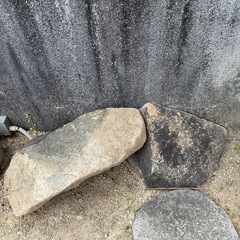庭石　貰って下さい！の画像