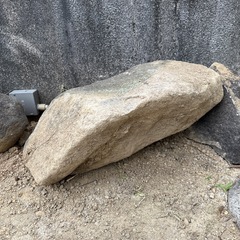 庭石　貰って下さい！の画像