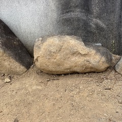 庭石　貰って下さい！の画像