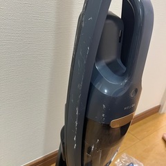 掃除機 Electrolux WELLQ6 の画像